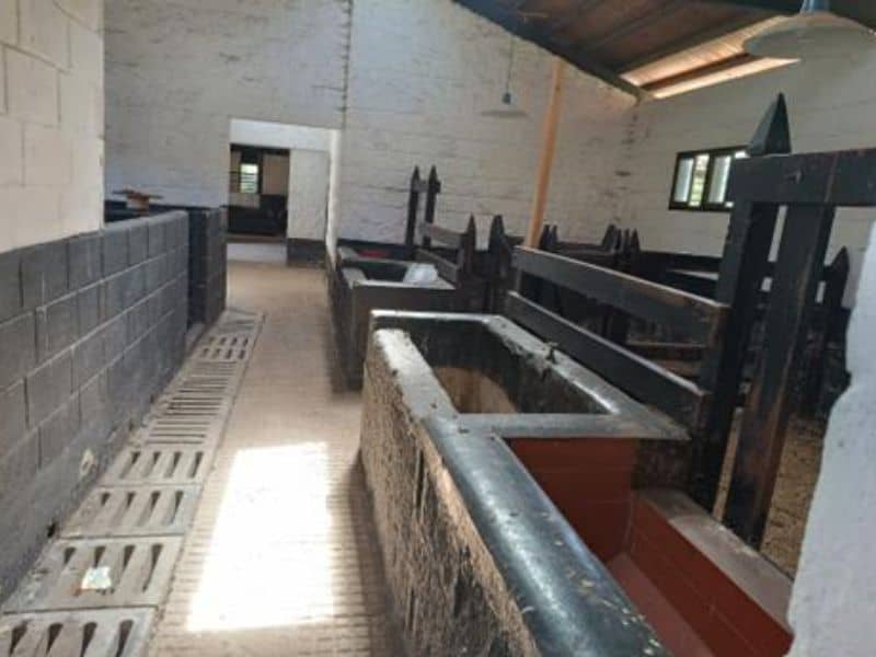 Finca El Origen Cód 1384586 Cód 1384585 Cód 1384584 Cód 1384583