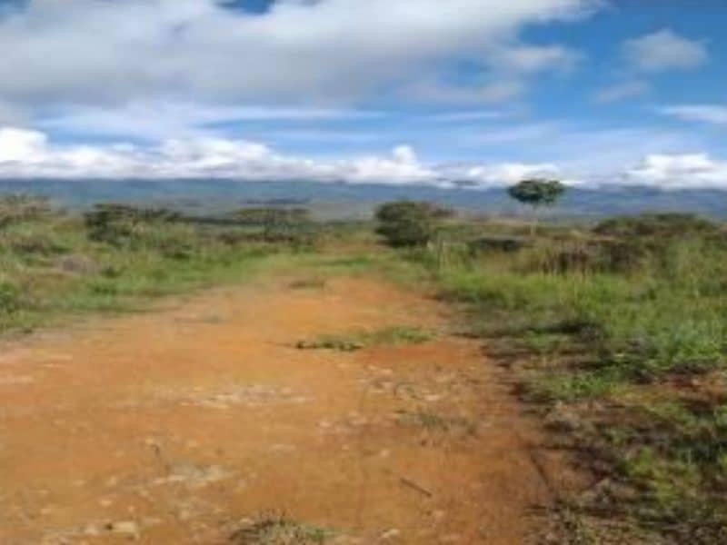 Finca La Chapa Vereda Río Claro Cód 233649