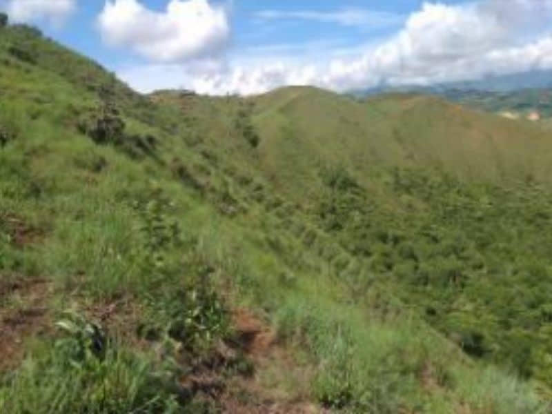 Finca La Chapa Vereda Río Claro Cód 233649