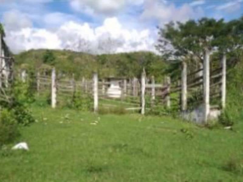 Finca La Chapa Vereda Río Claro Cód 233649
