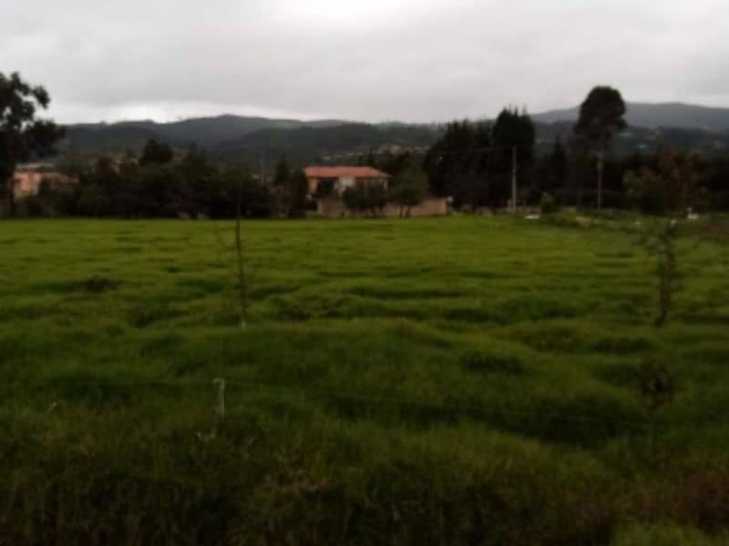 Lote El Porvenir Vereda Chunuguá Cód 168961