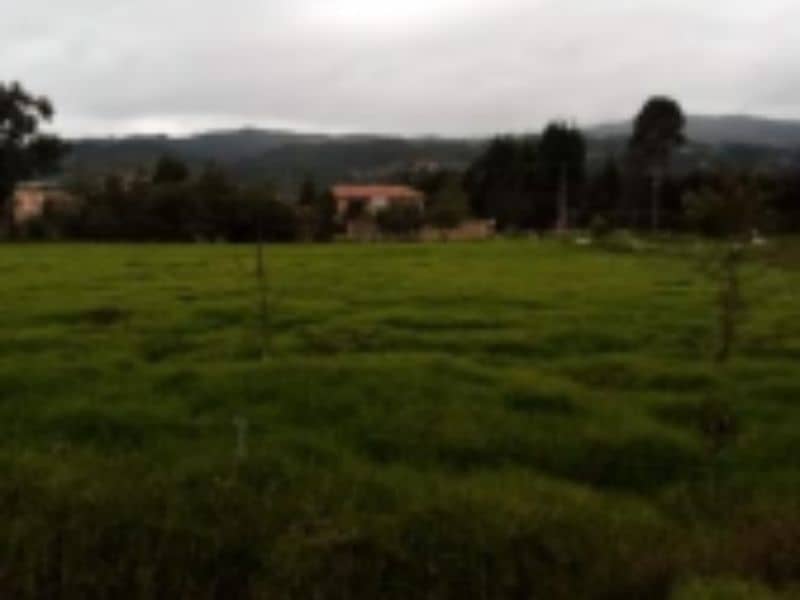 Lote El Porvenir Vereda Chunuguá Cód 168961