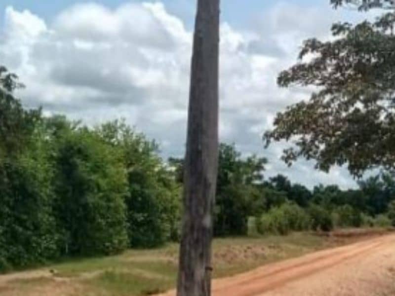 Finca Villa Mariela y La Victoria Vereda Carbonero Cód 152365