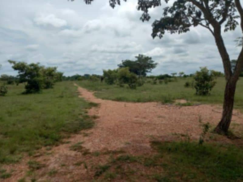 Finca Villa Mariela y La Victoria Vereda Carbonero Cód 152365