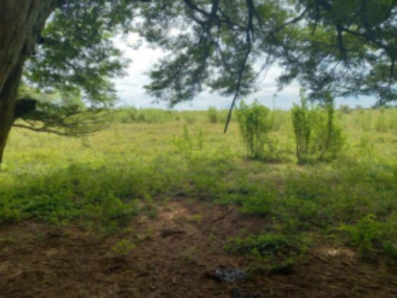 Finca Villa Mariela y La Victoria Vereda Carbonero Cód 152365