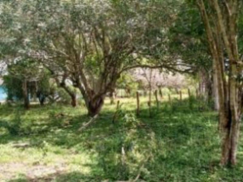Finca Villa Mariela y La Victoria Vereda Carbonero Cód 152365
