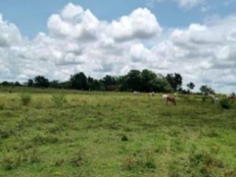 Finca Villa Mariela y La Victoria Vereda Carbonero Cód 152365