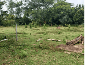 Finca San José Vereda Carbonero Cód 152363