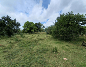 Finca San José Vereda Carbonero Cód 152363