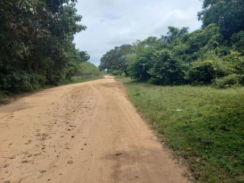 Finca Nueva Esperanza Vereda Carbonero Cód 152372