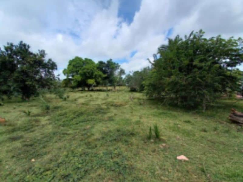 Finca Nueva Esperanza Vereda Carbonero Cód 152372