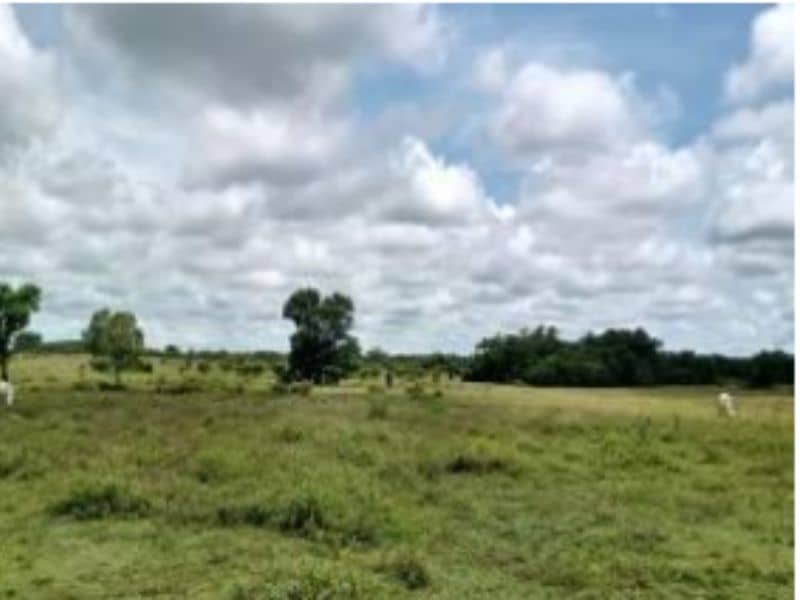 Finca Nueva Esperanza Vereda Carbonero Cód 152372