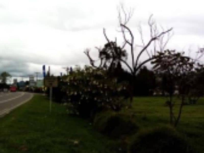 Lote Primera Franja Vereda Chunugua Cód 168962