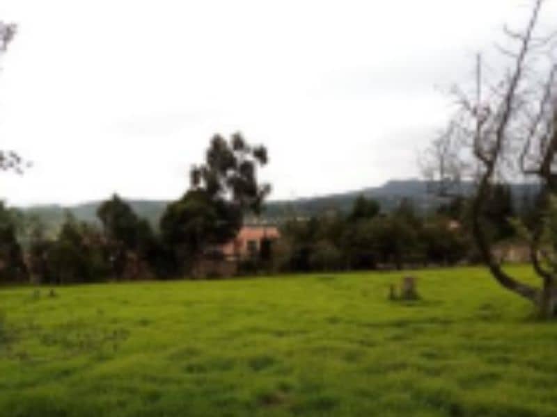 Lote Santa Teresa Vereda Chunuguá Cód 168962