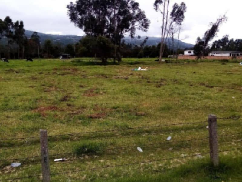 Lote Tercera Franja Vereda Chunugua Cód 168968