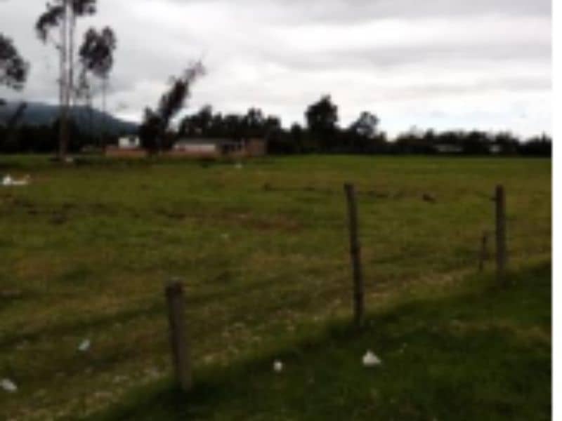 Lote Tercera Franja Vereda Chunugua Cód 168968