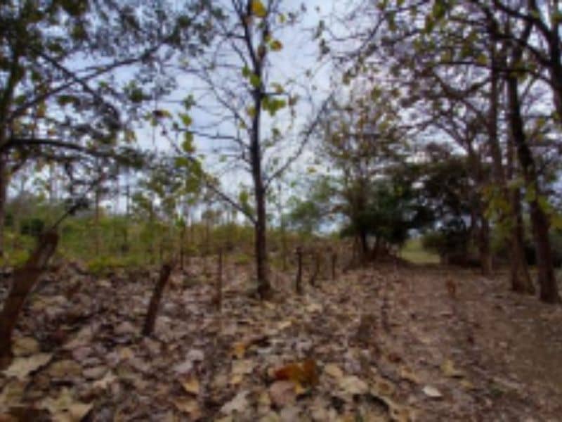 Finca El Igua Cód 389010
