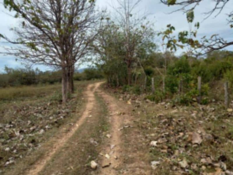 Finca El Igua Cód 389010