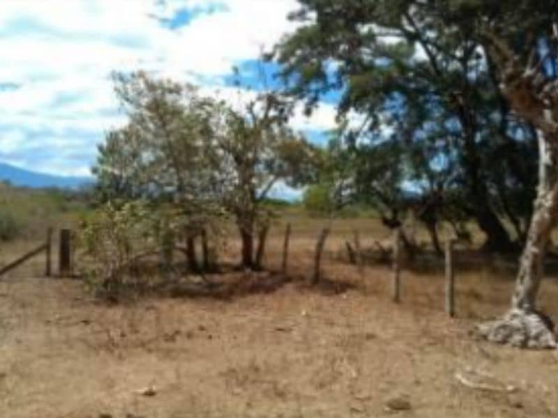 Finca El Igua Cód 389010