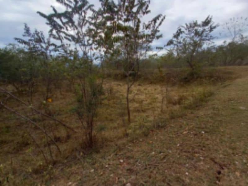 Finca El Igua Cód 389010