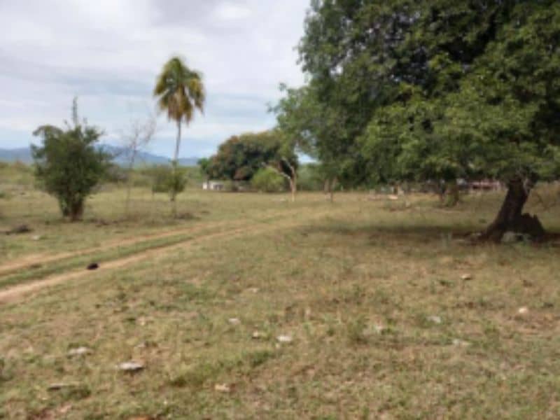 Finca Andalucía (Vereda Oriente) Cód 389008