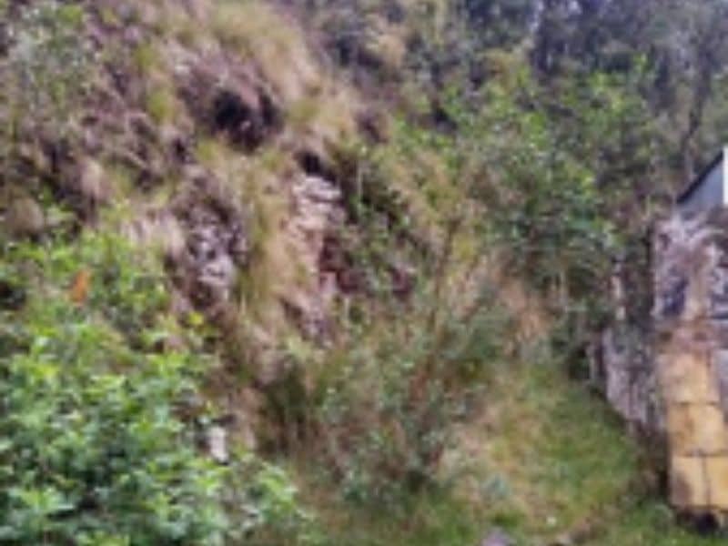 Finca Hacienda La Marqueza Cód 94514