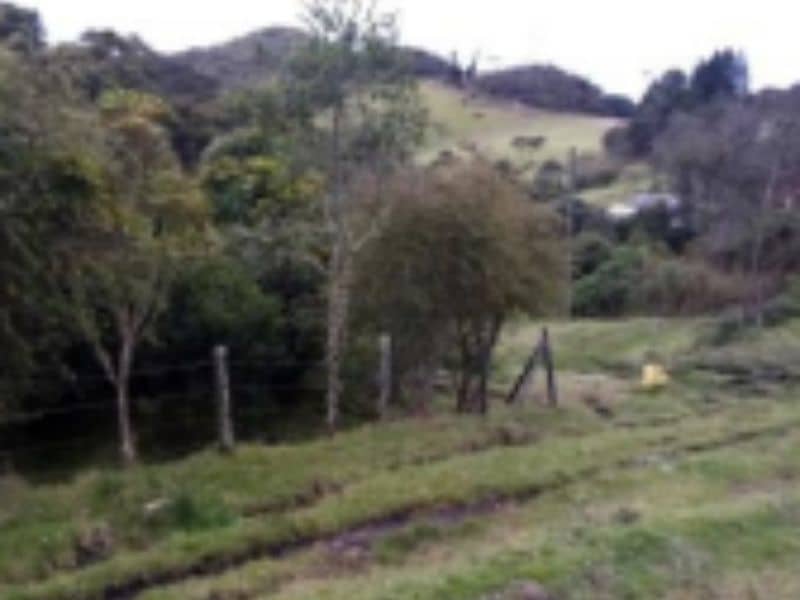 Finca Hacienda La Marqueza Cód 94514