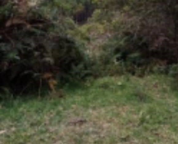 Finca La Cruz 1 – Vereda Yarumal Cód 472702