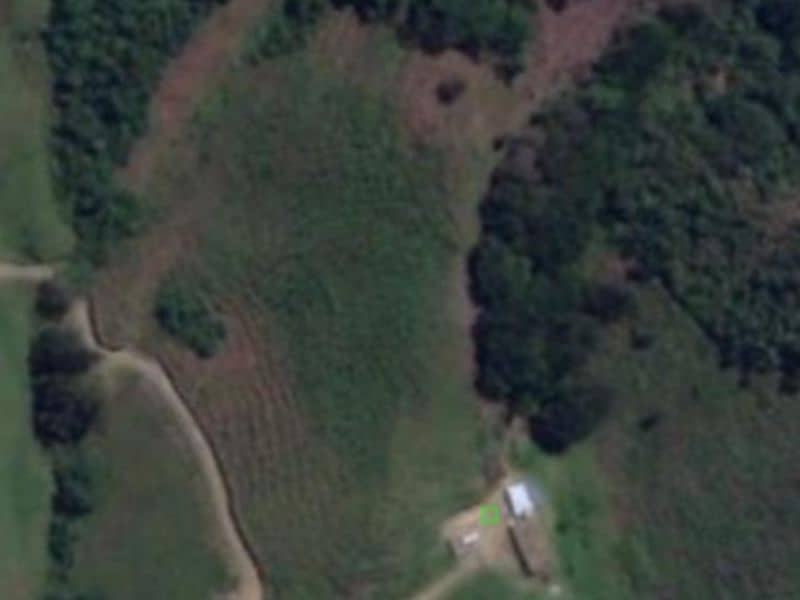 Finca La Cruz 1 – Vereda Yarumal Cód 472702