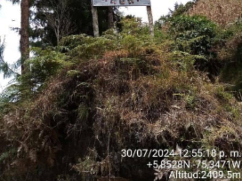 Finca La Cruz 2 – Vereda Yarumal Cód 472701