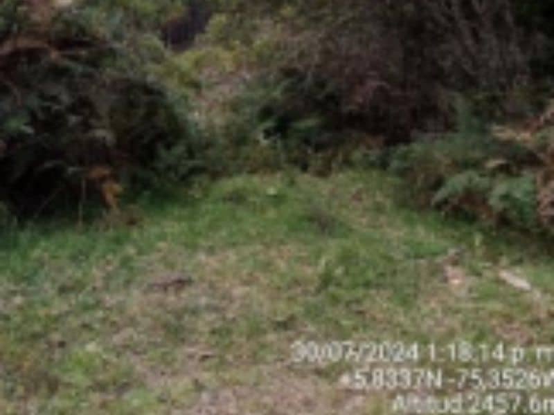 Finca La Cruz 2 – Vereda Yarumal Cód 472701