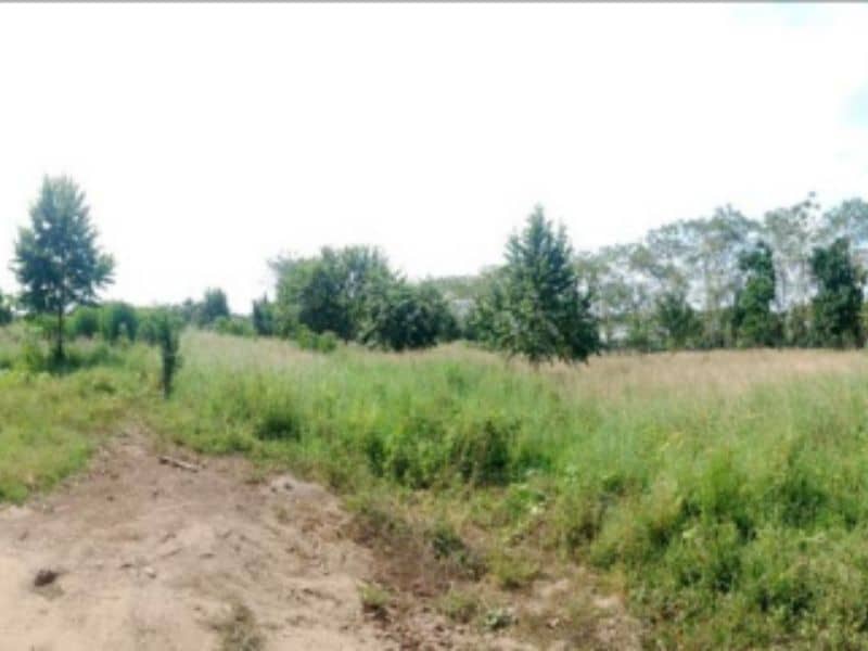 Finca La Bomba Cód 337309
