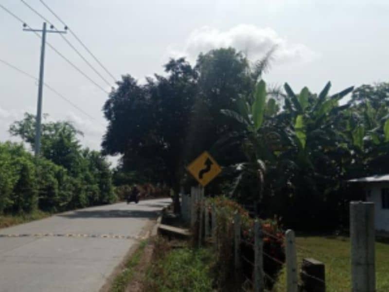 Finca La Bomba Cód 337309