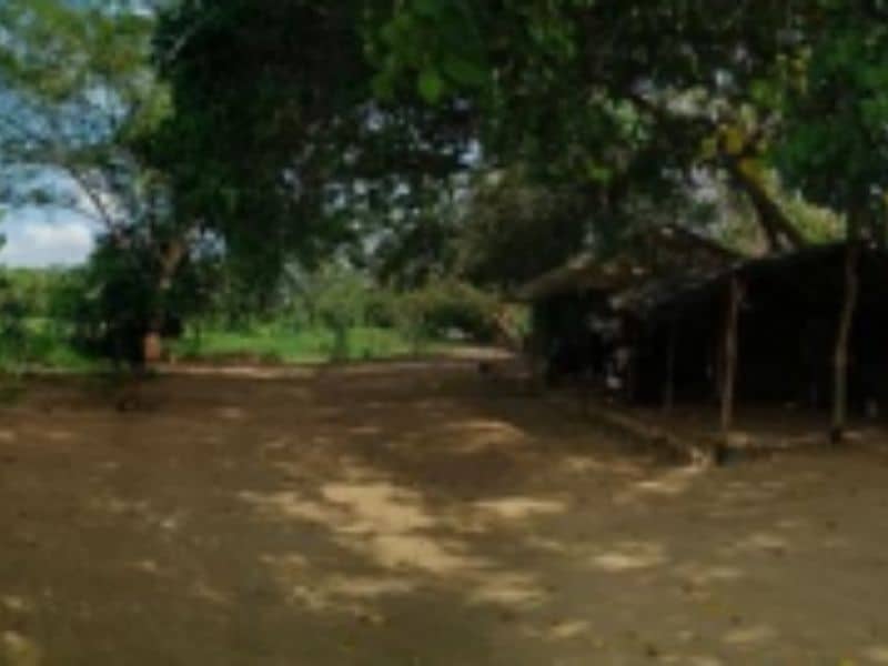 Finca La Bomba Cód 337309