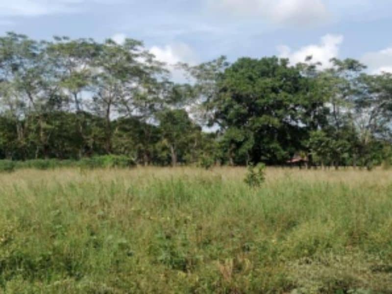 Finca La Bomba Cód 337309
