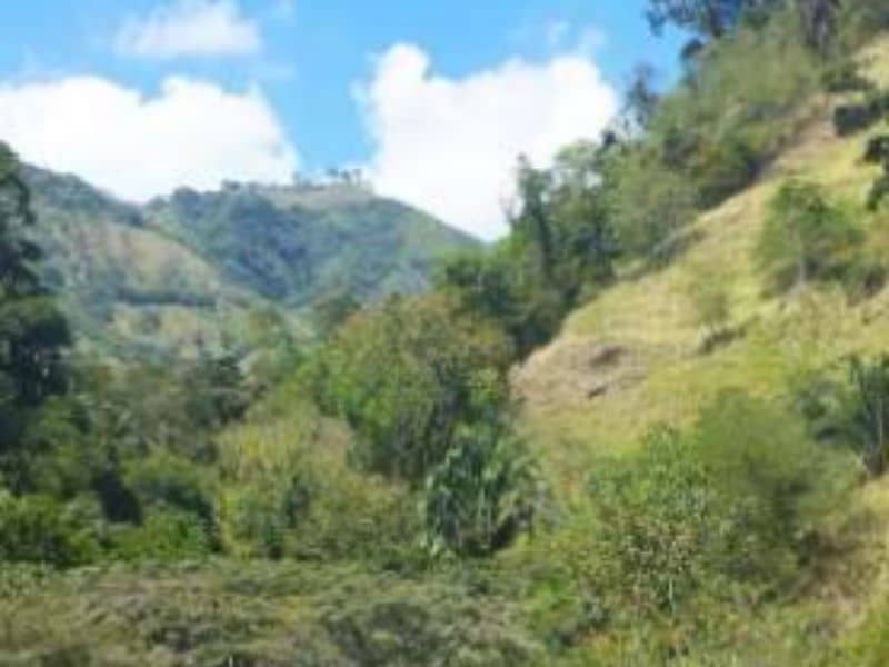 Vendido Finca La Vega- Vereda Camacho Cód 412191
