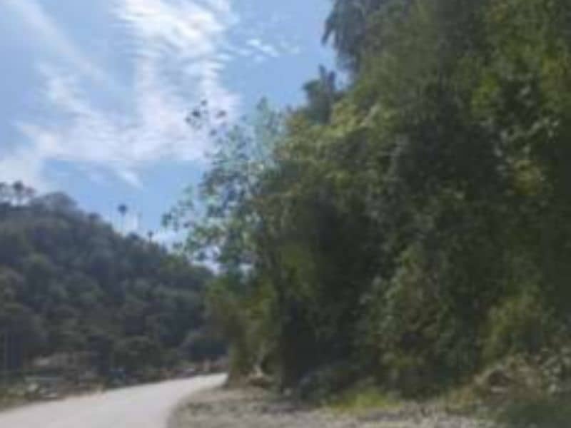 Vendido Finca La Vega- Vereda Camacho Cód 412191