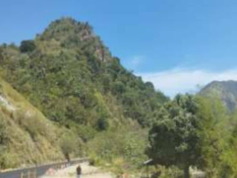 Vendido Finca La Vega- Vereda Camacho Cód 412191