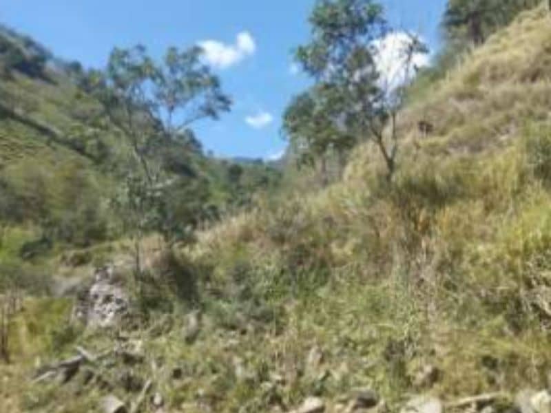 Vendido Finca La Vega- Vereda Camacho Cód 412191