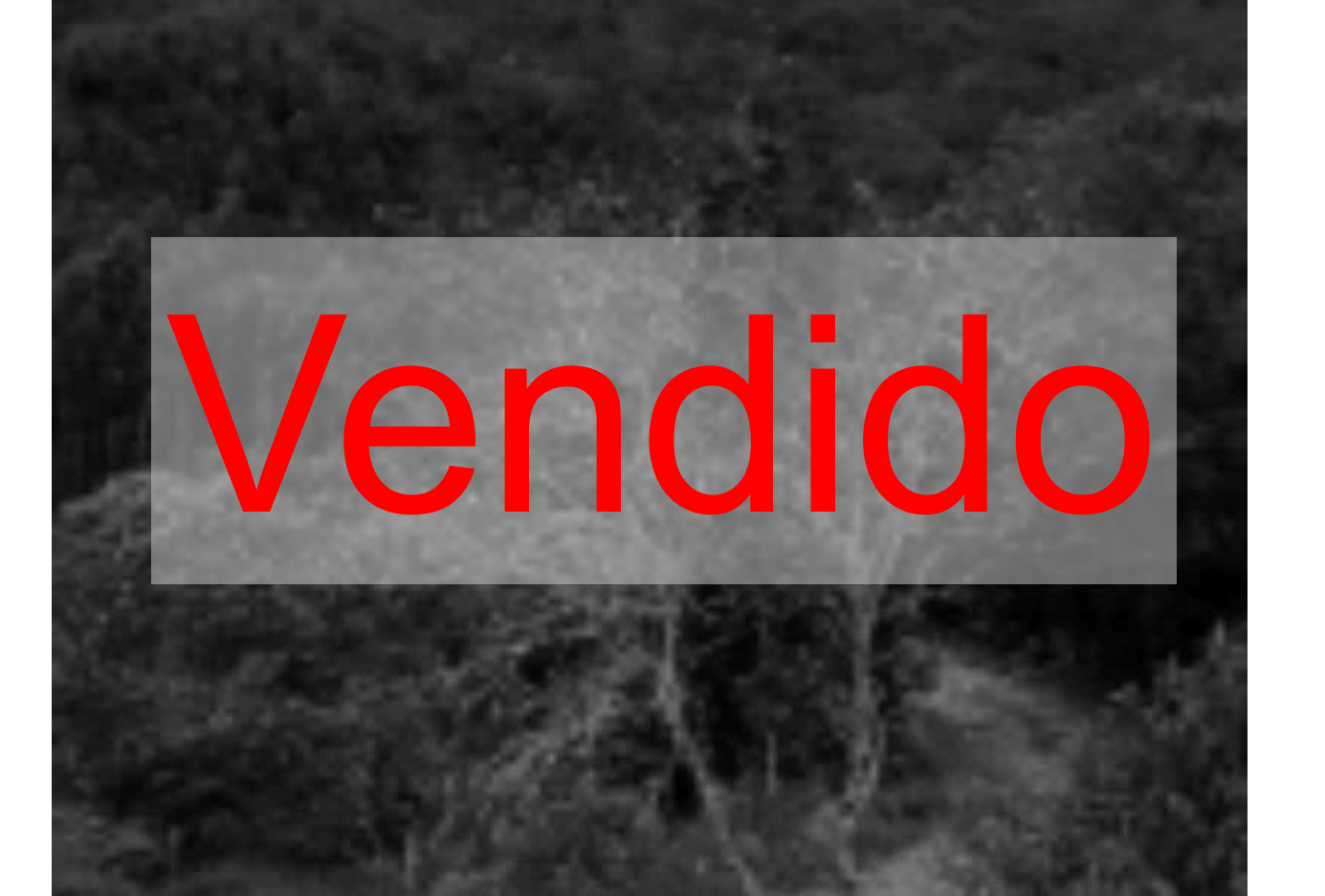 Finca La Cruz 1 – Vereda Yarumal Cód 472702